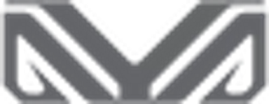 AYANEO logo