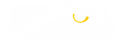 Falcon Northwest logo