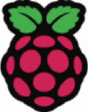 Raspberry Pi logo